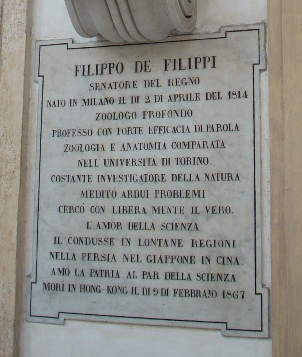 Filippo%20De%20Filippi%20s%20bust%2C%20University%20of%20Turin%20central%20seat%2C%20Turin%2C%20Italy%20-%2003.JPG